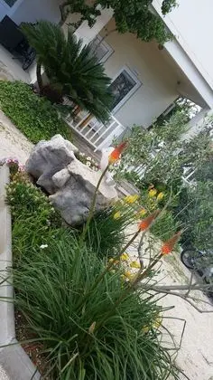 Apart Daire, 1 Yatak Odası (Limun)