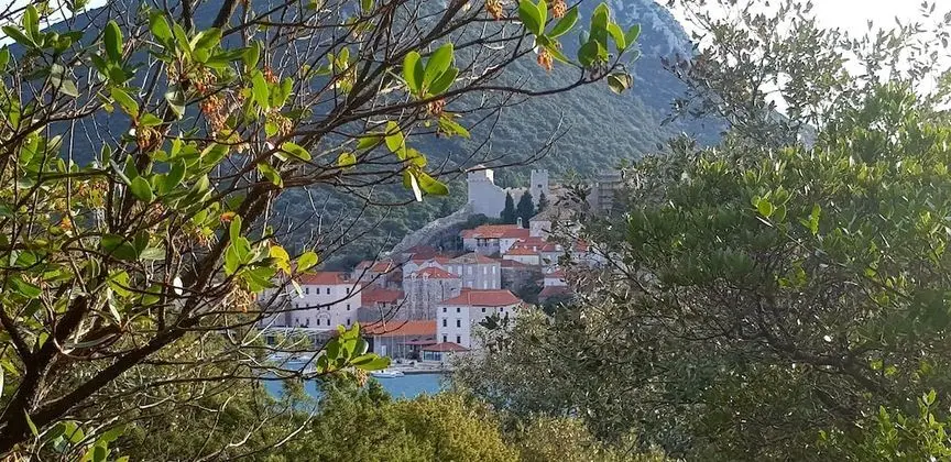 Apart Daire, 1 Yatak Odası (Limun)