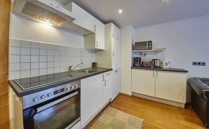 Apart Daire, 2 Yatak Odası, Dağ Manzaralı (Viehhofen Top 2)