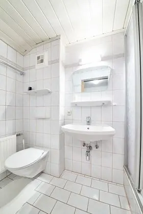 Apart Daire, Birden Çok Yatak Odası, Dağ Manzaralı (Viehhofen Top 1)
