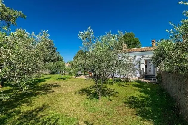 Ev (Two Bedroom Holiday Home with Terrace)