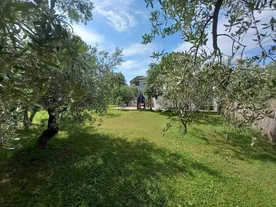 Ev (Two Bedroom Holiday Home with Terrace)