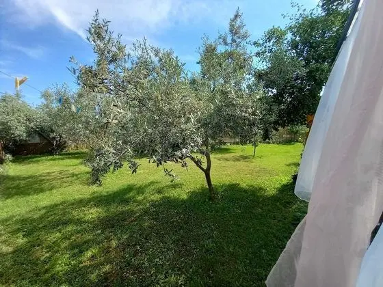 Ev (Two Bedroom Holiday Home with Terrace)