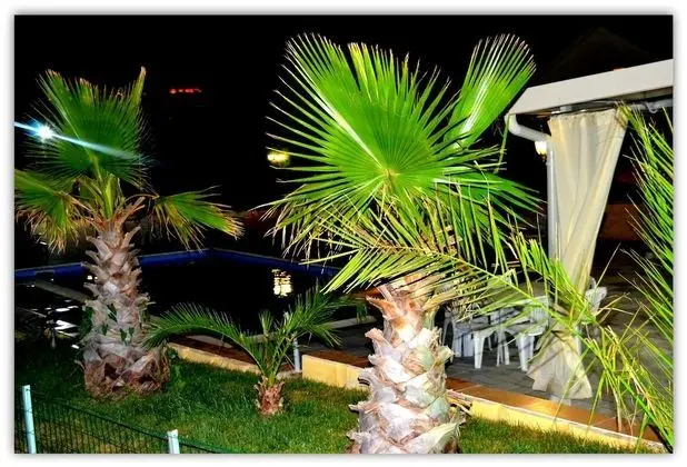 Villa, 5 Yatak Odası, Engellilere Uygun, Şömine