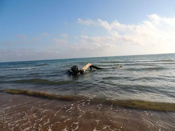 Ev, 3 Yatak Odası, Engellilere Uygun, Sigara İçilebilir