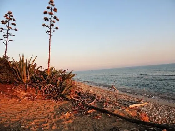 Ev, 3 Yatak Odası, Engellilere Uygun, Sigara İçilebilir