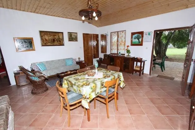 Ev, 1 Yatak Odası, Teras