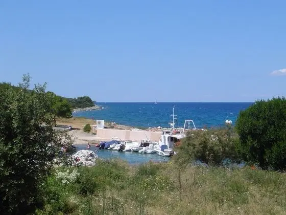 Ev, 2 Yatak Odası, Sigara İçilebilir, Teras
