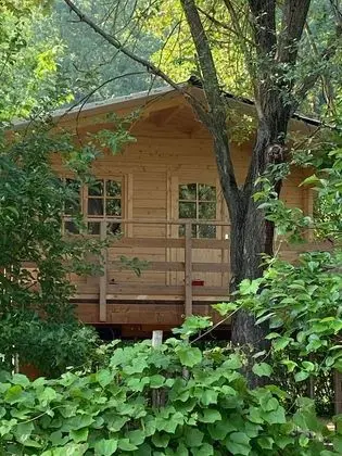 Stüdyo, 1 Yatak Odası, Balkon