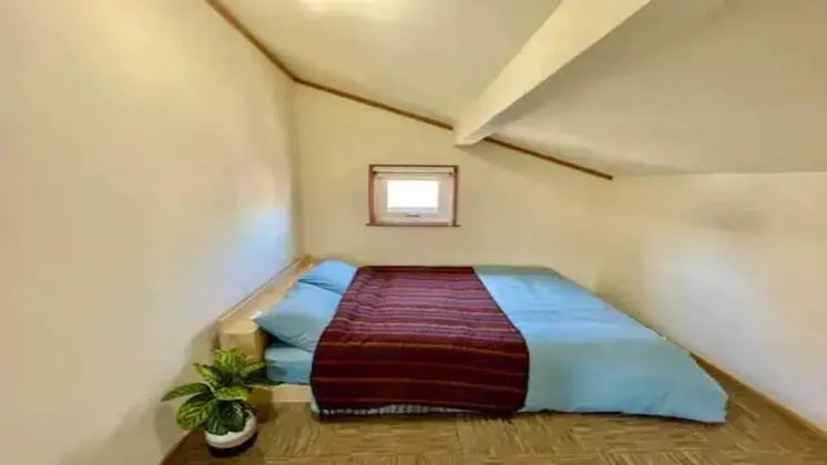 Basic Kır Evi