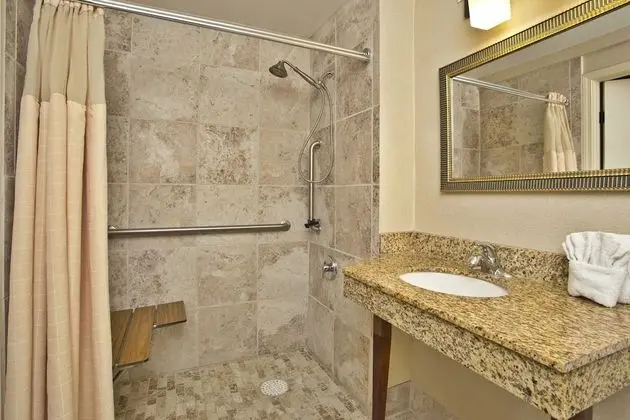 Standard Oda, 1 En Büyük (King) Boy Yatak, Engellilere Uygun (Roll-In Shower)