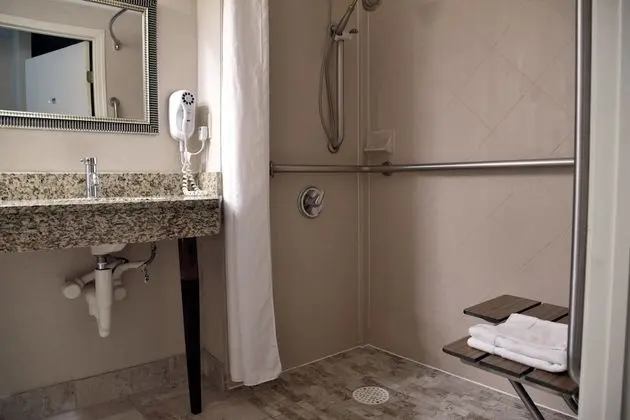 Standard Oda, 1 En Büyük (King) Boy Yatak, Engellilere Uygun (Roll-In Shower)