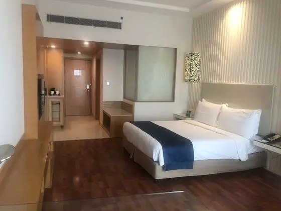 Premium Oda, 1 En Büyük (King) Boy Yatak