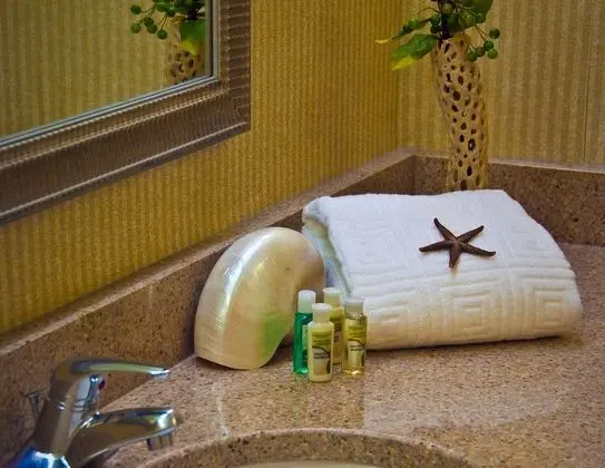 Standard Oda, 1 En Büyük (King) Boy Yatak, Engellilere Uygun (Mobility, Accessible Tub)