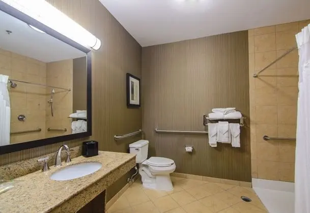 Süit, 1 En Büyük (King) Boy Yatak, Engellilere Uygun (Mobil, Roll Shower)