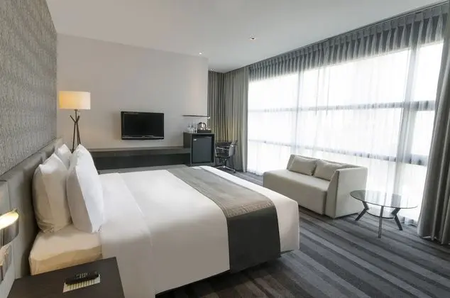 Premium Oda, 1 En Büyük (King) Boy Yatak, Şehir Manzaralı