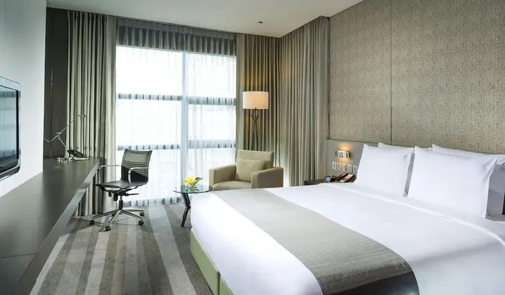 Premium Oda, 1 En Büyük (King) Boy Yatak, Şehir Manzaralı