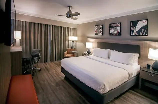 Premium Oda, 1 En Büyük (King) Boy Yatak (Top Floor)