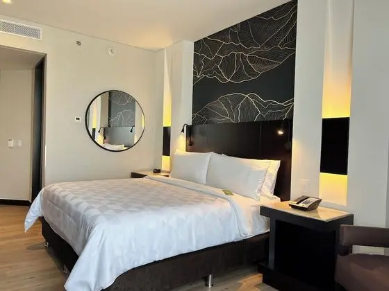 Standard Oda, 1 En Büyük (King) Boy Yatak, Şehir Manzaralı (High Floor)