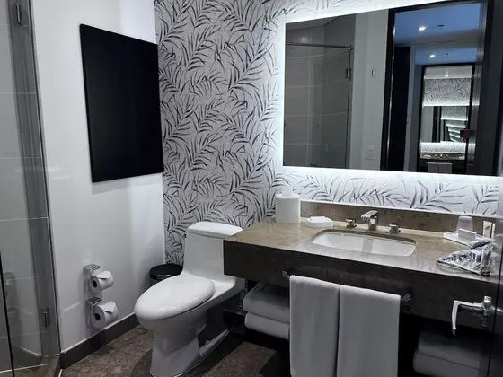 Standard Oda, 1 En Büyük (King) Boy Yatak, Şehir Manzaralı (High Floor)
