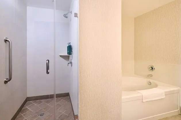 Süit, 1 Yatak Odası (1 King Bed)