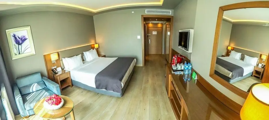 Premium Oda, 1 Büyük (Queen) Boy Yatak ve Çekyat, Şehir Manzaralı