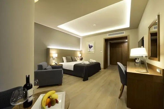 Premium Oda, 1 En Büyük (King) Boy Yatak, Sigara İçilebilir, Şehir Manzaralı