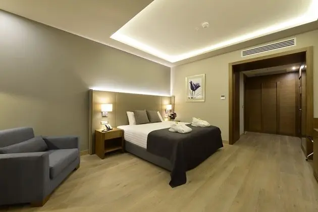 Premium Oda, 1 En Büyük (King) Boy Yatak, Sigara İçilebilir, Şehir Manzaralı