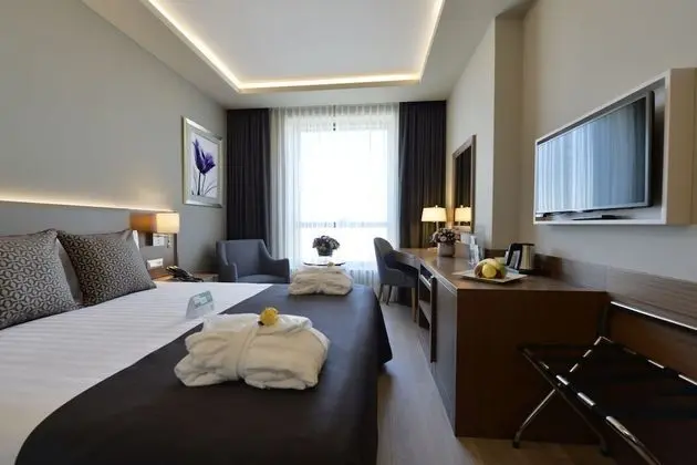 Standard Oda, 1 Büyük (Queen) Boy Yatak, Sigara İçilebilir, Şehir Manzaralı