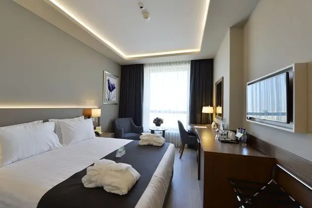 Standard Oda, 1 Büyük (Queen) Boy Yatak ve Çekyat, Şehir Manzaralı