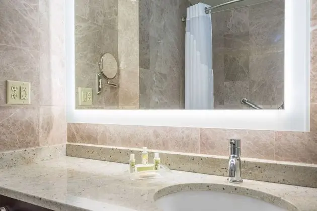 Standard Oda, 1 En Büyük (King) Boy Yatak, Engellilere Uygun (Mobility Roll-In Shower)