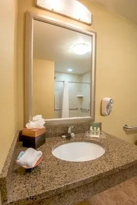 Oda, 1 En Büyük (King) Boy Yatak, Engellilere Uygun (Hearing, Roll-In Shower)