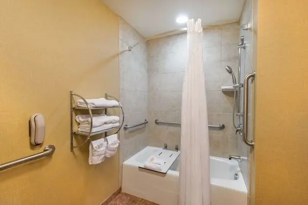Oda, 1 En Büyük (King) Boy Yatak, Engellilere Uygun (Hearing, Roll-In Shower)