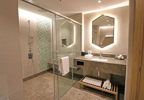 Premium Oda, 1 En Büyük (King) Boy Yatak, Sigara İçilmez