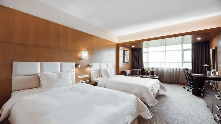 Standard Oda, 2 Tek Kişilik Yatak (Lounge Access)