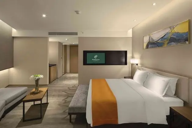 Premium Oda, 1 En Büyük (King) Boy Yatak (Lounge Access)