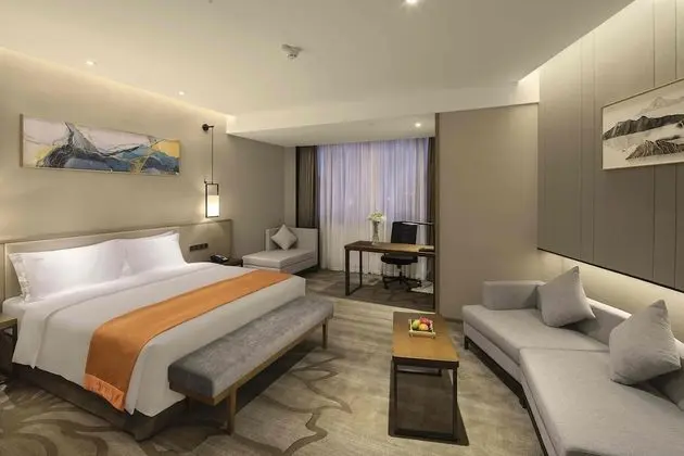 Premium Oda, 1 En Büyük (King) Boy Yatak (Lounge Access)