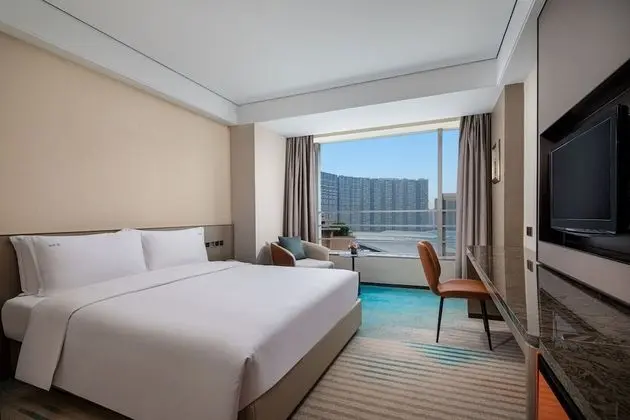 Premium Oda, 1 En Büyük (King) Boy Yatak (Lounge Access)