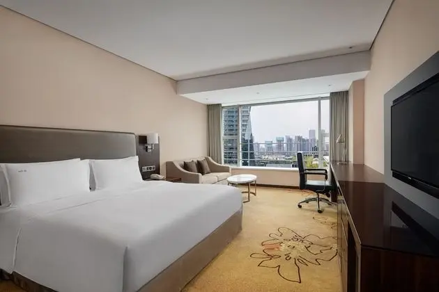 Premium Oda, 1 En Büyük (King) Boy Yatak (Lounge Access Extra Guest)