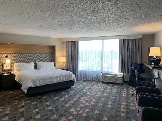 Standard Oda, 1 En Büyük (King) Boy Yatak, Göl Manzaralı