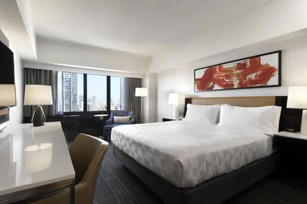 Standard Oda, 1 En Büyük (King) Boy Yatak (Chicago Skyline View)