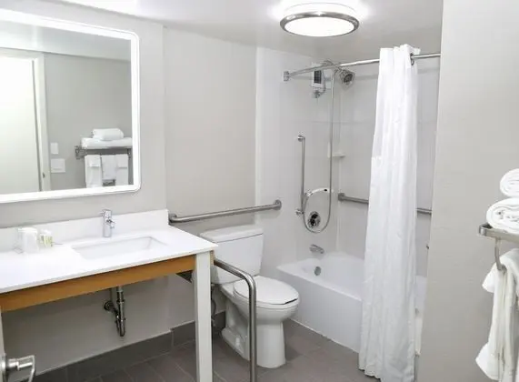 Standard Oda, 1 Büyük (Queen) Boy Yatak, Engellilere Uygun (Mobility, Accessible Tub)