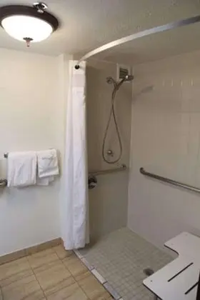 Oda, 1 Büyük (Queen) Boy Yatak, Engellilere Uygun, Sigara İçilmez (Roll-in Shower)