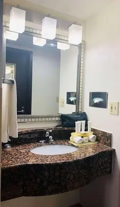 Oda, 1 Büyük (Queen) Boy Yatak, Engellilere Uygun, Sigara İçilmez (Roll-in Shower)