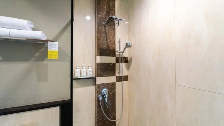 Standard Oda, 1 En Büyük (King) Boy Yatak, Küvet, Şehir Manzaralı