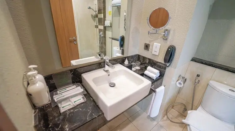 Standard Oda, 1 En Büyük (King) Boy Yatak, Sigara İçilebilir, Şehir Manzaralı (Bathtub)