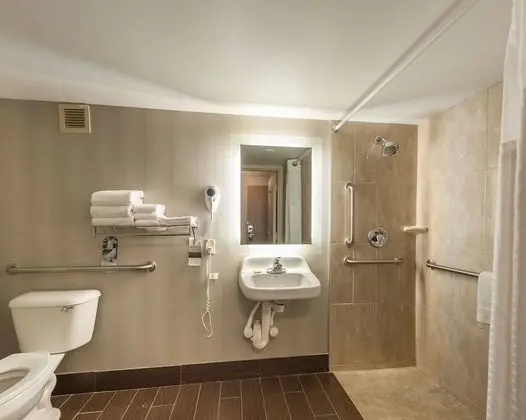 Standard Oda, 1 En Büyük (King) Boy Yatak, Engellilere Uygun, Buzdolabı