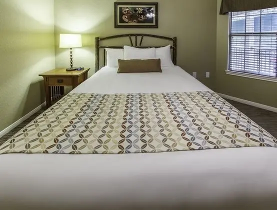 Standard Oda (Bed Type Not Guaranteed)