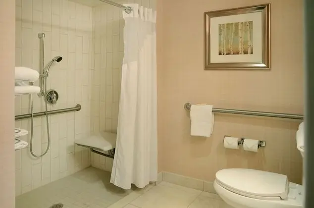Standard Oda, 1 Büyük (Queen) Boy Yatak, Engellilere Uygun (Mobility, Roll-In Shower)