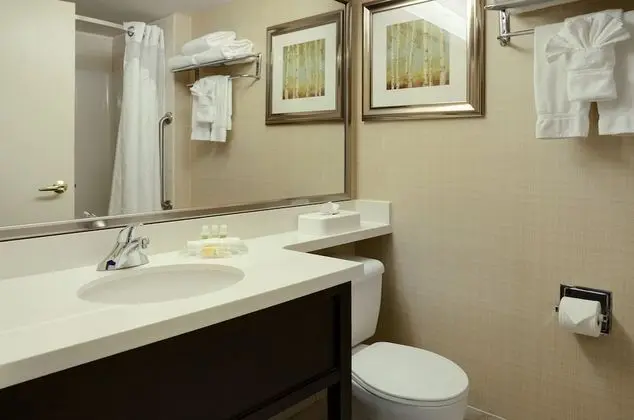 Standard Oda, 1 Büyük (Queen) Boy Yatak, Engellilere Uygun (Mobility, Roll-In Shower)